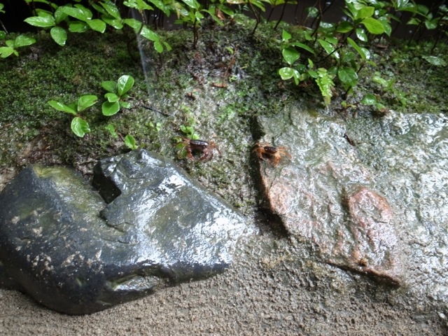 R0010317